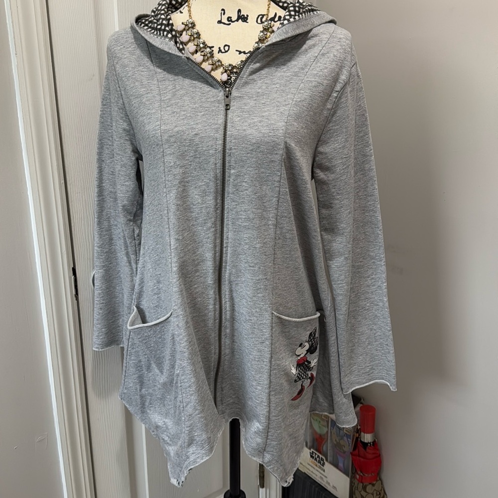 Disney Parks Sweatshirt - Picture 1 of 9
